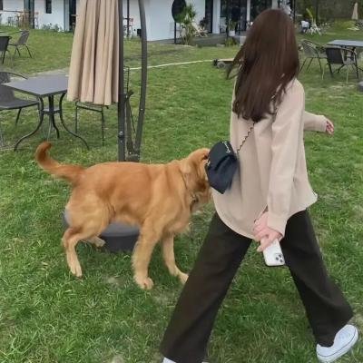 汉考克与琼恩